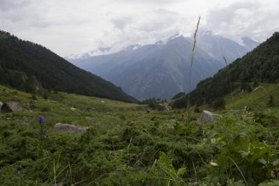 Прикрепленное изображение: DSC_0122.jpg